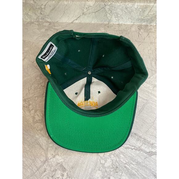 Vintage Green Bay Packers Central Division Champs Hat - Picture 7 of 9